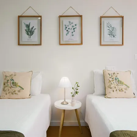 Apartment Coliseu A22d With Parking - Host & Chill Ponta Delgada (Sao Miguel)